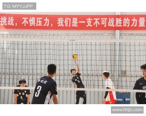 杭州排球队快攻战术解析与深度剖析排球竞技的魅力与挑战